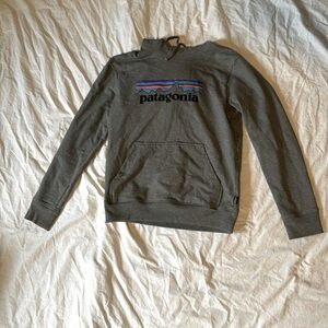 Patagonia Hoodie